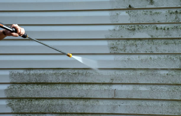Best Commercial Mold Removal  in El Dorado Springs, MO