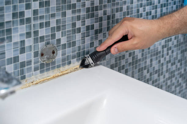 Best Professional Mold Removal  in El Dorado Springs, MO