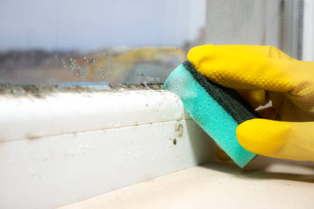 Best Mold Testing  in El Dorado Springs, MO