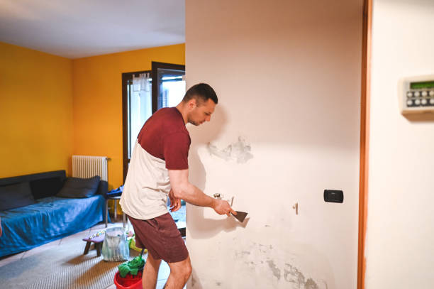 Best Residential Mold Removal  in El Dorado Springs, MO